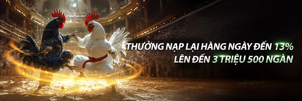 Hình ảnh chính của Blog G6BET 2026, thể hiện sự sôi động của cá cược trực tuyến